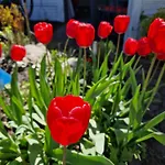 Haus Oberberg - Pokoje Ozonowane - Blisko Plazy I Portu Guest house 4*