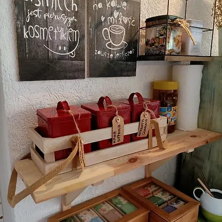 Haus Oberberg - Ozonowane - Orly Turystyki 2024 Pensión