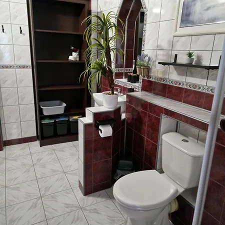 Haus Oberberg - Ozonowane - Orly Turystyki 2024 4*