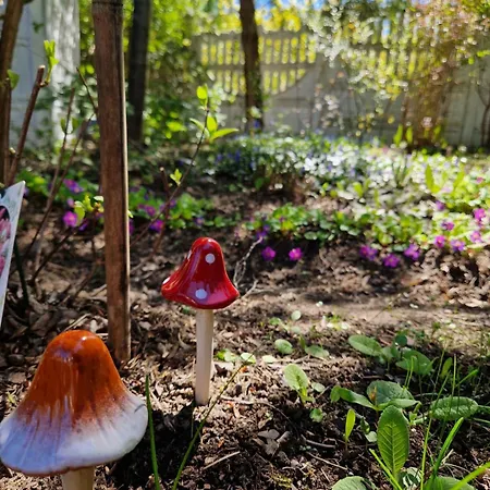 Haus Oberberg - Ozonowane - Orly Turystyki 2024